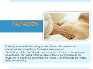 Parte importante de los hallazgos de la inspección pueden ser 
corroborados y complementados por la palpación: 
Sensibilidad dolorosa, relación con estructuras torácicas, temperatura, 
consistencia, movilidad, informa sobre el tono y contracción de los 
músculos, la existencia de tumores no visibles y la sensibilidad de huesos, 
músculos y nervios. 
 