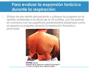 Para evaluar la expansión torácica 
durante la respiración: 
1. Sitúese de pie detrás del paciente y coloque los pulgares en la 
apófisis vertebrales a la altura de la 10 costillas, con las palmas 
en contacto con las superficies posterolateral (obsérvese como 
se separa sus pulgares durante la respiración tranquila y 
profunda). 
 