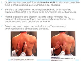1. Obsérvese las características del fremito táctil, la vibración palpable 
de la pared torácica que se produce por el habla. 
 El frenito es palpable en la zona paraesternal, en el segundo 
espacio intercostal, a la altura de la bifurcación de los bronquios. 
 Pida al paciente que diga en voz alta varios números (33 y 
carretera), mientras palapas con las superficies palmares de los 
dedos o con la cara cubital de las manos. 
 Para comparar, palpe ambos lados simultáneamente y 
simétricamente o de izquierda derecha. 
 