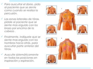 Para auscultar el dorso, pida 
al paciente que se siente 
como cuando se realiza la 
percusión. 
 Las zonas laterales de tórax, 
pídale al paciente que se 
siente mas erguido con los 
brazo por encima de la 
cabeza . 
 Finalmente, indíquele que se 
siente mas erguido con los 
hombros hacia atrás, para 
auscultar parte anterior del 
tórax. 
 Ausculte sistemáticamente 
en todas las posiciones en 
inspiración y espiración. 
 