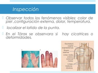 Inspección 
 Observar todos los fenómenos visibles: color de 
piel ,configuración externa, dolor, temperatura. 
 localizar el latido de la punta. 
 En el Tórax se observara si hay cicatrices o 
deformidades. 
 