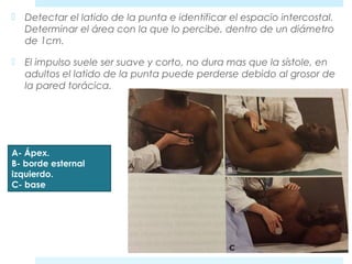  Detectar el latido de la punta e identificar el espacio intercostal. 
Determinar el área con la que lo percibe, dentro de un diámetro 
de 1cm. 
 El impulso suele ser suave y corto, no dura mas que la sístole, en 
adultos el latido de la punta puede perderse debido al grosor de 
la pared torácica. 
A- Ápex. 
B- borde esternal 
izquierdo. 
C- base 
 