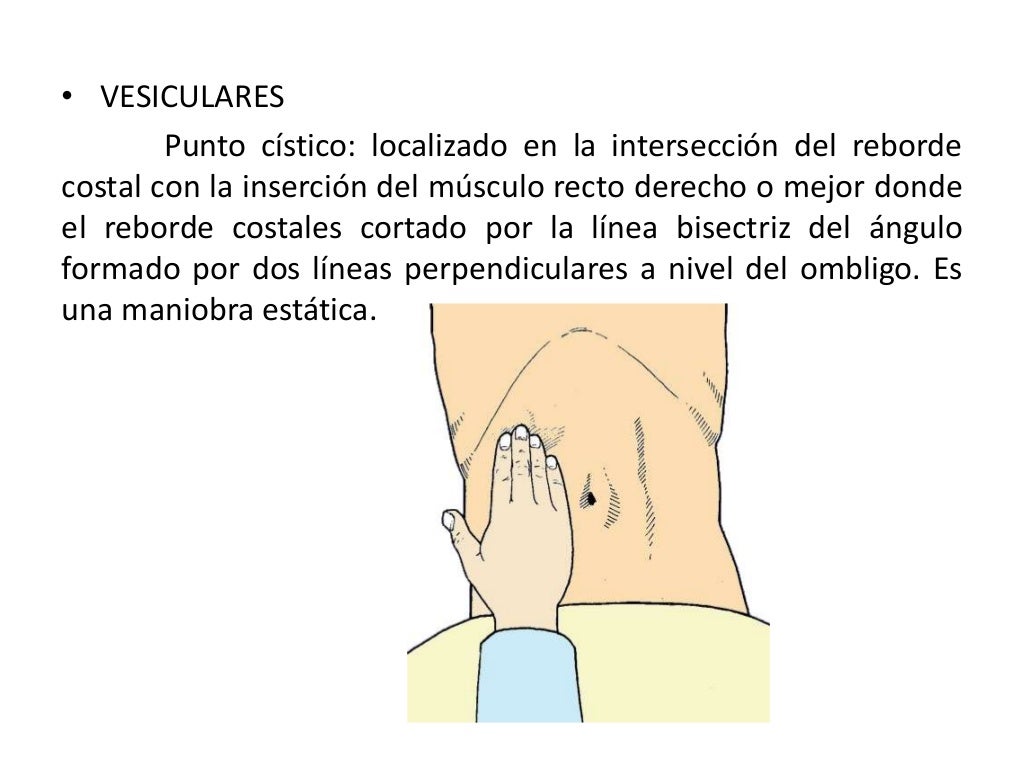Exploracion Fisica Del Abdomen Images