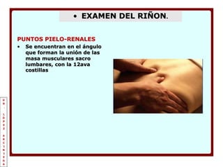 Exploracion de Abdomen.ppt