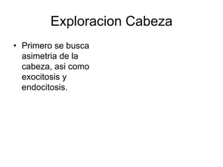 Exploracion Cabeza
• Primero se busca
asimetria de la
cabeza, asi como
exocitosis y
endocitosis.
 