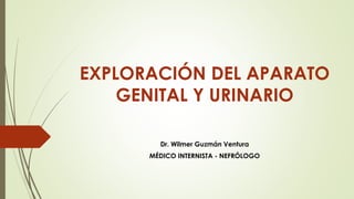 EXPLORACIÓN DEL APARATO
GENITAL Y URINARIO
Dr. Wilmer Guzmán Ventura
MÉDICO INTERNISTA - NEFRÓLOGO
 