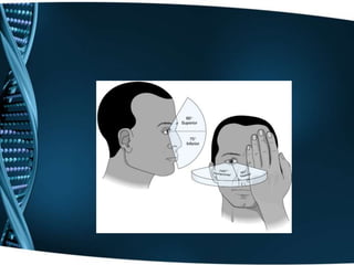  Prueba de las madejas de IshiharaFONDO DE OJO Observar bordes y color de la papila óptica y color de la máculaCAMPOS VISUALES