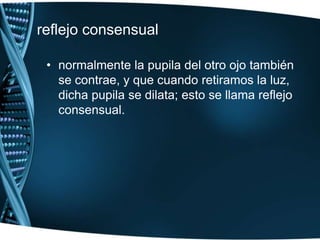 reflejo fotomotor.