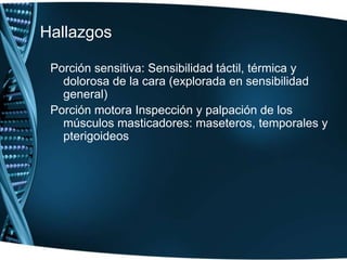 NERVIO TRIGÉMINO: V PARReflejos: corneal (parpadeo), conjuntival, mandibular y estornutatorio
