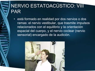 Hallazgos Porción motora Músculos de la caraPorción sensorial Gusto en los 2/3 anterioresde la lengua