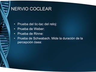 NERVIO ESTATOACÚSTICO: VIII PARestá formado en realidad por dos nervios o dos ramas: el nervio vestibular, que trasmite impulsos relacionados con el equilibrio y la orientación espacial del cuerpo, y el nervio coclear (nervio sensorial) encargado de la audición.