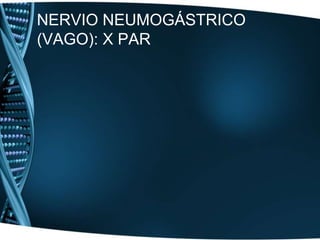 NERVIOS GLOSOFARÍNGEO, NEUMOGÁSTRICO (VAGO) Y ACCESORIO: IX, X Y XI PARESFenómeno de VernetReflejo faríngeoExploración del reflejo del seno carotídeo