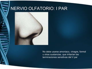 NERVIO OLFATORIO: I PARNo debe usarse amoniaco, vinagre, formol u otras sustancias, que irritarían las terminaciones sensitivas del V par