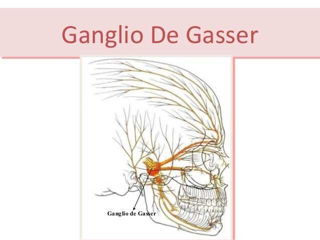 Resultado de imagen para ganglio de gasser