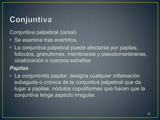 Conjuntiva palpebral (tarsal)
• Se examina tras evertirlos.
• La conjuntiva palpebral puede afectarse por papilas,
foliculos, granulomas, membranas y pseudomenbranas,
cicatrización o cuerpos extraños
Papilas
• La conjuntivitis papilar, designa cualquier inflamación
subaguda o crónica de la conjuntiva palpebral que da
lugar a papilas, nódulos cupuliformes que hacen que la
conjuntiva tenga aspecto irregular.
22
 
