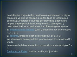 • Los folículos conjuntivales patológicos representan un signo
clínico útil ya que se asocian a ciertos tipos de inflamación
conjuntival, sobretodo causada por clamidias, adenovirus,
herpes simple(primoinfecciones),molusco contagioso y
reacciones toxicas a medicamentos oftalmológicos tópicos.
• El linfogranuloma venéreo (LGV), producido por los serotipos
L1, L2, y L3.
• El tracoma, producido por los serotipos A, B, Ba y C.
• las infecciones óculogenitales, producido por los serotipos B y
D a K.
• la neumonía del recién nacido, producido por los serotipos D a
K.
• Síndrome de Reiter: uretritis, artritis, conjuntivitis
27
 