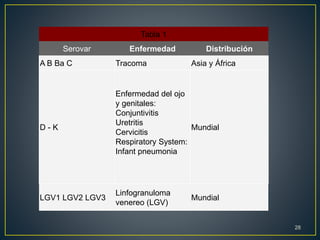Tabla 1
Serovar Enfermedad Distribución
A B Ba C Tracoma Asia y África
D - K
Enfermedad del ojo
y genitales:
Conjuntivitis
Uretritis
Cervicitis
Respiratory System:
Infant pneumonia
Mundial
LGV1 LGV2 LGV3
Linfogranuloma
venereo (LGV)
Mundial
28
 