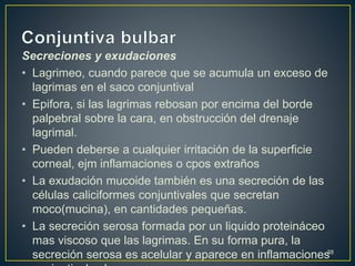 Secreciones y exudaciones
• Lagrimeo, cuando parece que se acumula un exceso de
lagrimas en el saco conjuntival
• Epifora, si las lagrimas rebosan por encima del borde
palpebral sobre la cara, en obstrucción del drenaje
lagrimal.
• Pueden deberse a cualquier irritación de la superficie
corneal, ejm inflamaciones o cpos extraños
• La exudación mucoide también es una secreción de las
células caliciformes conjuntivales que secretan
moco(mucina), en cantidades pequeñas.
• La secreción serosa formada por un liquido proteináceo
mas viscoso que las lagrimas. En su forma pura, la
secreción serosa es acelular y aparece en inflamaciones38
 