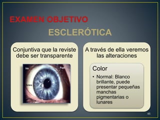 ESCLERÓTICA
45
Conjuntiva que la reviste
debe ser transparente
A través de ella veremos
las alteraciones
Color
• Normal: Blanco
brillante, puede
presentar pequeñas
manchas
pigmentarias o
lunares
 