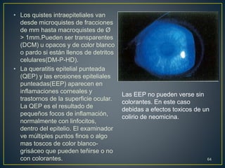 • Los quistes intraepiteliales van
desde microquistes de fracciones
de mm hasta macroquistes de Ø
> 1mm.Pueden ser transparentes
(DCM) u opacos y de color blanco
o pardo si están llenos de detritos
celulares(DM-P-HD).
• La queratitis epitelial punteada
(QEP) y las erosiones epiteliales
punteadas(EEP) aparecen en
inflamaciones corneales y
trastornos de la superficie ocular.
La QEP es el resultado de
pequeños focos de inflamación,
normalmente con linfocitos,
dentro del epitelio. El examinador
ve múltiples puntos finos o algo
mas toscos de color blanco-
grisáceo que pueden teñirse o no
con colorantes. 64
Las EEP no pueden verse sin
colorantes. En este caso
debidas a efectos toxicos de un
colirio de neomicina.
 