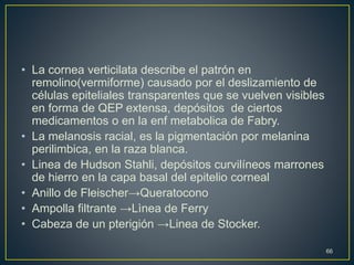 • La cornea verticilata describe el patrón en
remolino(vermiforme) causado por el deslizamiento de
células epiteliales transparentes que se vuelven visibles
en forma de QEP extensa, depósitos de ciertos
medicamentos o en la enf metabolica de Fabry.
• La melanosis racial, es la pigmentación por melanina
perilimbica, en la raza blanca.
• Linea de Hudson Stahli, depósitos curvilíneos marrones
de hierro en la capa basal del epitelio corneal
• Anillo de Fleischer→Queratocono
• Ampolla filtrante →Lìnea de Ferry
• Cabeza de un pterigión →Linea de Stocker.
66
 