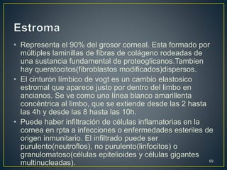 • Representa el 90% del grosor corneal. Esta formado por
múltiples laminillas de fibras de colágeno rodeadas de
una sustancia fundamental de proteoglicanos.Tambien
hay queratocitos(fibroblastos modificados)dispersos.
• El cinturón límbico de vogt es un cambio elastosico
estromal que aparece justo por dentro del limbo en
ancianos. Se ve como una línea blanco amarillenta
concéntrica al limbo, que se extiende desde las 2 hasta
las 4h y desde las 8 hasta las 10h.
• Puede haber infiltración de células inflamatorias en la
cornea en rpta a infecciones o enfermedades esteriles de
origen inmunitario. El infiltrado puede ser
purulento(neutroflos), no purulento(linfocitos) o
granulomatoso(células epitelioides y células gigantes
multinucleadas). 69
 