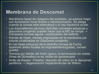 • Membrana basal de colágeno del endotelio, se explora mejor
con iluminación focal directa o retroiluminación. Se pliega
cuando la cornea esta edematosa o si hay hipotonía ocular.
• Los traumatismos,necrosis,distrofias corneales estasicas y
glaucoma congénito pueden hacer que la MD se rompa →
hidropesía corneal aguda→cicatrización del defecto
• Estrías de Haab, crestas engrosadas en la membrana por
roturas cicatrizadas en Glaucoma congénito.
• En las fases precoces de la distrofia corneal de Fuchs
aparecen áreas focales de engrosamiento(gotas), cornea
gutatta.
• Termina por detrás del limbo opaco, la terminación en cresta
(línea de Schwalbe) no es visible sin gonioscopia
• Anillo de Kayser –Fleisher, deposito de cobre en la descemet
periférica → degeneración hepatolenticular de Wilson.
72
 