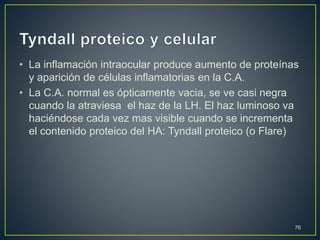 • La inflamación intraocular produce aumento de proteínas
y aparición de células inflamatorias en la C.A.
• La C.A. normal es ópticamente vacia, se ve casi negra
cuando la atraviesa el haz de la LH. El haz luminoso va
haciéndose cada vez mas visible cuando se incrementa
el contenido proteico del HA: Tyndall proteico (o Flare)
76
 