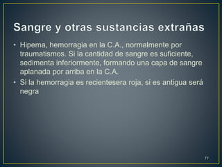 • Hipema, hemorragia en la C.A., normalmente por
traumatismos. Si la cantidad de sangre es suficiente,
sedimenta inferiormente, formando una capa de sangre
aplanada por arriba en la C.A.
• Si la hemorragia es recientesera roja, si es antigua será
negra
77
 