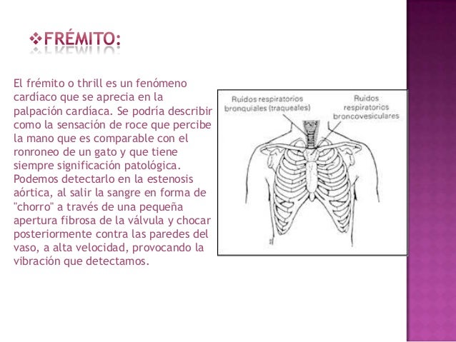 Exploracion del sistemacardiovascular