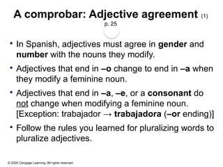 © 2020 Cengage Learning. All rights reserved.
A comprobar: Adjective agreement (1)
p. 25
 In Spanish, adjectives must agree in gender and
number with the nouns they modify.
 Adjectives that end in –o change to end in –a when
they modify a feminine noun.
 Adjectives that end in –a, –e, or a consonant do
not change when modifying a feminine noun.
[Exception: trabajador → trabajadora (–or ending)]
 Follow the rules you learned for pluralizing words to
pluralize adjectives.
 