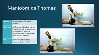 Objetivo Evaluar extensión de la
cadera
Maniobra Al flexionar la cadera a 120º,
se estabiliza la pelvis con una
mano bajo la columna
lumbar, hacercar la rodilla lo
mas posible al tronco.
(+) Elevacion de la cadera
opuesta (patologico)
 