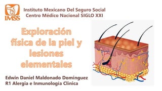 Instituto Mexicano Del Seguro Social
Centro Médico Nacional SIGLO XXI
Edwin Daniel Maldonado Domínguez
R1 Alergia e Inmunología Clínica
 