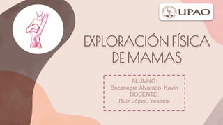 EXPLORACIÓN FÍSICA
DE MAMAS
ALUMNO:
Bocanegra Alvarado, Kevin
DOCENTE:
Ruiz López, Yesenia
 
