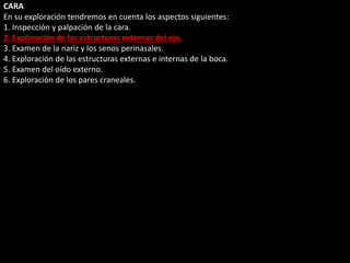 CARA 
En su exploración tendremos en cuenta los aspectos siguientes: 
1. Inspección y palpación de la cara. 
2. Exploración de las estructuras externas del ojo. 
3. Examen de la nariz y los senos perinasales. 
4. Exploración de las estructuras externas e internas de la boca. 
5. Examen del oído externo. 
6. Exploración de los pares craneales. 
 