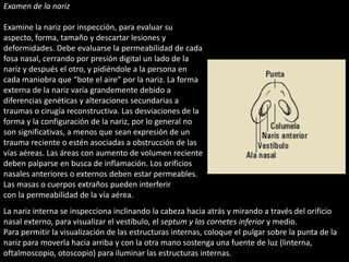 Examen de la nariz 
Examine la nariz por inspección, para evaluar su 
aspecto, forma, tamaño y descartar lesiones y 
deformidades. Debe evaluarse la permeabilidad de cada 
fosa nasal, cerrando por presión digital un lado de la 
nariz y después el otro, y pidiéndole a la persona en 
cada maniobra que “bote el aire” por la nariz. La forma 
externa de la nariz varía grandemente debido a 
diferencias genéticas y alteraciones secundarias a 
traumas o cirugía reconstructiva. Las desviaciones de la 
forma y la configuración de la nariz, por lo general no 
son significativas, a menos que sean expresión de un 
trauma reciente o estén asociadas a obstrucción de las 
vías aéreas. Las áreas con aumento de volumen reciente 
deben palparse en busca de inflamación. Los orificios 
nasales anteriores o externos deben estar permeables. 
Las masas o cuerpos extraños pueden interferir 
con la permeabilidad de la vía aérea. 
La nariz interna se inspecciona inclinando la cabeza hacia atrás y mirando a través del orificio 
nasal externo, para visualizar el vestíbulo, el septum y los cornetes inferior y medio. 
Para permitir la visualización de las estructuras internas, coloque el pulgar sobre la punta de la 
nariz para moverla hacia arriba y con la otra mano sostenga una fuente de luz (linterna, 
oftalmoscopio, otoscopio) para iluminar las estructuras internas. 
 
