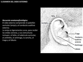 5.EXAMEN DEL OIDO EXTERNO 
Recuento anatomofisiológico 
El oído externo comprende el pabellón 
auricular (oreja) y el conducto auditivo 
externo. 
La oreja es ligeramente curva, para recibir 
las ondas sonoras, y sus estructuras 
incluyen: el hélix, el tubérculo auricular, 
el antihélix, el antitrago, la concha, el 
trago y el lóbulo. 
 