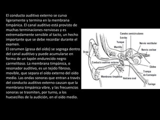 El conducto auditivo externo se curva 
ligeramente y termina en la membrana 
timpánica. El canal auditivo está provisto de 
muchas terminaciones nerviosas y es 
extremadamente sensible al tacto, un hecho 
importante que se debe recordar durante el 
examen. 
El cerumen (grasa del oído) se segrega dentro 
del canal auditivo y puede acumularse en 
forma de un tapón endurecido negro 
carmelitoso. La membrana timpánica, o 
resonador auditivo, es un tejido fibroso, 
movible, que separa el oído externo del oído 
medio. Las ondas sonoras que entran a través 
del conducto auditivo externo causan que la 
membrana timpánica vibre, y las frecuencias 
sonoras se trasmiten, por turno, a los 
huesecillos de la audición, en el oído medio. 
 