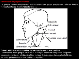 – Examen de los ganglios linfáticos. 
Los ganglios de la cabeza y el cuello están distribuidos en grupos ganglionares; cada uno de ellos 
recibe afluentes de determinados territorios. 
Orientaciones generales para el examen y el registro escrito de los datos 
La exploración de los ganglios linfáticos se realiza por inspección y palpación, aunque los 
mayores elementos los brinda este último método de exploración. Los ganglios linfáticos 
normales, generalmente no son visibles ni palpables. 
 