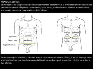 ANATOMIA CLINICA 
Es indispensable la aplicación de los conocimientos anatómicos a la clínica teniendo en cuenta lo 
práctico que resulta la proyección exterior, en la pared, de las distintas vísceras abdominales y 
sus zonas y puntos de mayor relieve sintomático. 
Es necesario para el médico conocer ambos sistemas de anatomía clínica, pues las descripciones 
y las localizaciones de los síntomas en la literatura médica, igual se pueden referir a un sistema 
que al otro. 
 