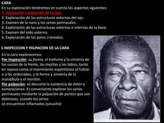 CARA 
En su exploración tendremos en cuenta los aspectos siguientes: 
1. Inspección y palpación de la cara. 
2. Exploración de las estructuras externas del ojo. 
3. Examen de la nariz y los senos perinasales. 
4. Exploración de las estructuras externas e internas de la boca. 
5. Examen del oído externo. 
6. Exploración de los pares craneales. 
1.INSPECCION Y PALPACION DE LA CARA 
En la cara exploraremos 
Por inspección: su forma, el trofismo y la simetría de 
los surcos de la frente, las mejillas y los labios, tanto 
en reposo como al movimiento espontáneo al hablar 
o a los ordenados, y la forma y simetría de la 
mandíbula y el mentón. 
Por palpación: se descarta la existencia de dolor o 
tumoraciones. Es conveniente explorar los senos 
perinasales mediante la palpación de puntos que son 
dolorosos, cuando los senos 
se encuentran inflamados (sinusitis) 
 