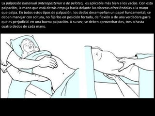 La palpación bimanual anteroposterior o de peloteo, es aplicable más bien a los vacíos. Con esta 
palpación, la mano que está detrás empuja hacia delante las vísceras ofreciéndolas a la mano 
que palpa. En todos estos tipos de palpación, los dedos desempeñan un papel fundamental; se 
deben manejar con soltura, no fijarlos en posición forzada, de flexión o de una verdadera garra 
que es perjudicial en una buena palpación. A su vez, se deben aprovechar dos, tres o hasta 
cuatro dedos de cada mano. 
 