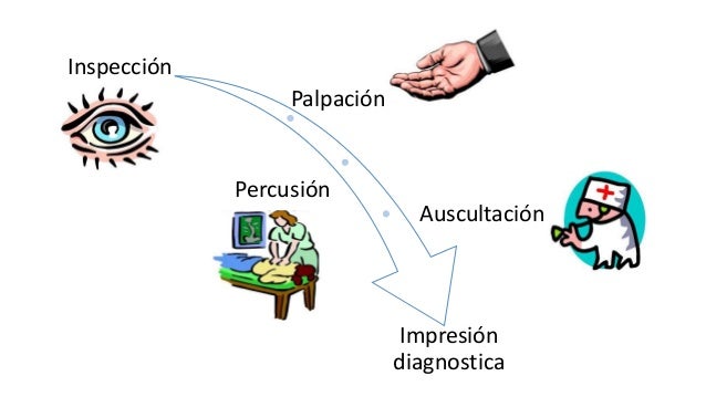 Exploración física neumológica