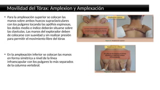 Exploracion Física y Semiología del tórax ok.pptx