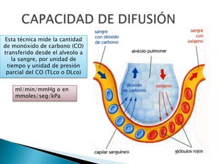 Esta técnica mide la cantidad
de monóxido de carbono (CO)
transferido desde el alveolo a
la sangre, por unidad de
tiempo y unidad de presión
parcial del CO (TLco o DLco)
ml/min/mmHg o en
mmoles/seg/kPa
 