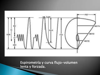 Espirometría y curva flujo-volumen
lenta y forzada.
 