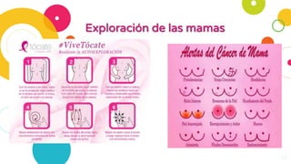 Exploración de las mamas
12
 