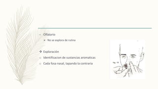 – Olfatorio
 No se explora de rutina
 Exploración
o Identificacion de sustancias aromaticas
o Cada fosa nasal, tapando la contraria
 