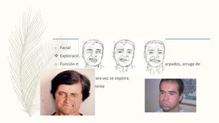 – Facial
 Exploración:
o Función motora: inspección rasgos de la cara, cierre de parpados, arruga de
frente.
o Función sensitiva: rara vez se explora.
o Reflejo corneal eferente
 
