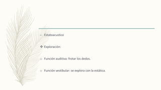– Estatoacustico
 Exploración:
o Función auditiva: frotar los dedos.
o Función vestibular: se explora con la estática.
 